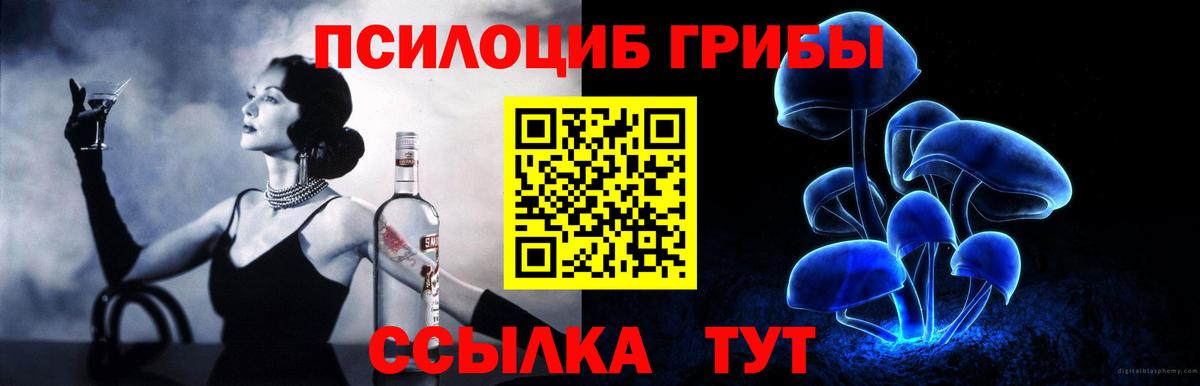 Псилоцибиновые грибы Psilocybine cubensis  Вход с VPN  Новоалександровск  Галлюциногенные грибы мухоморы 